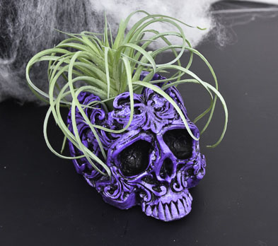 skull succulent pot Skull Planter