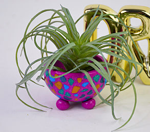 wire succulent planter Sculpey III® Glam Succulent Planter -sculpey.com