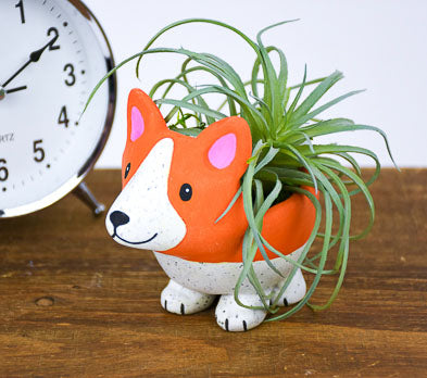 corgi succulent Sculpey Premo™ White Granite Corgi Planter -sculpey.com