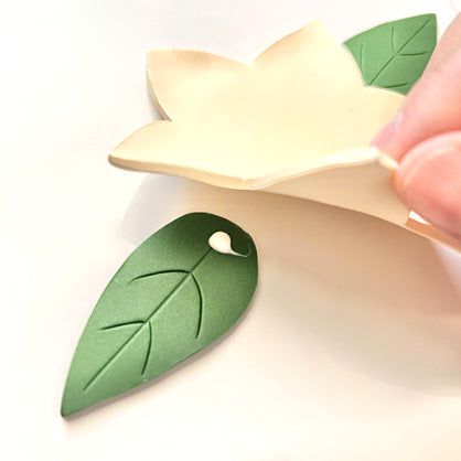 Step 6