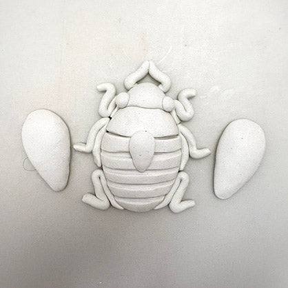 Step 6