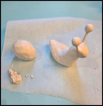 Step 5