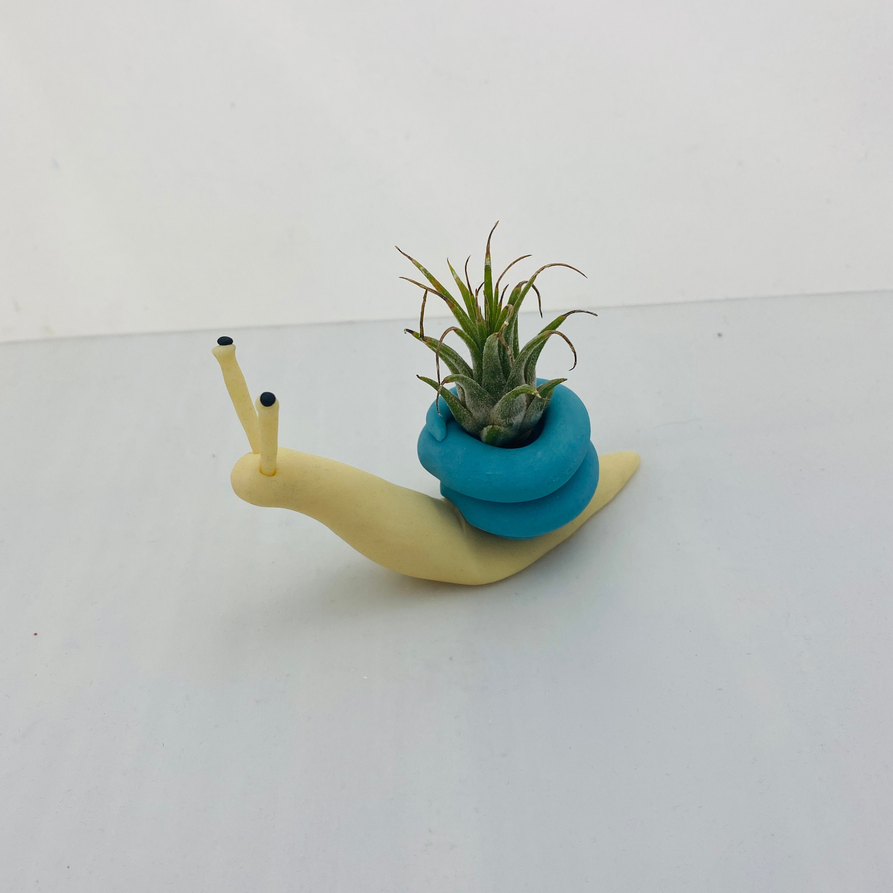 clay air plant holder Glow in the Dark Sculpey® Glow Snail Air Plant Holder