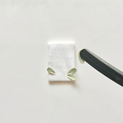 Step 7