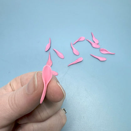 Step 6