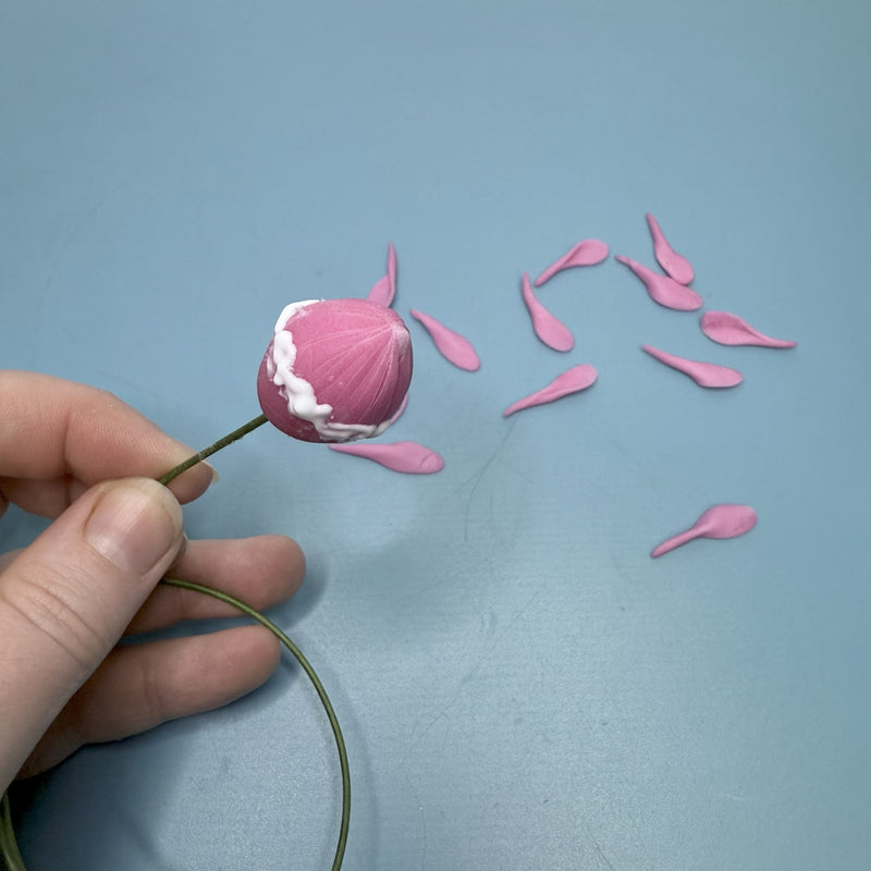 Step 6