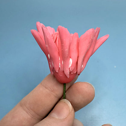 Step 9