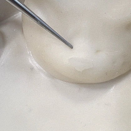 Step 12