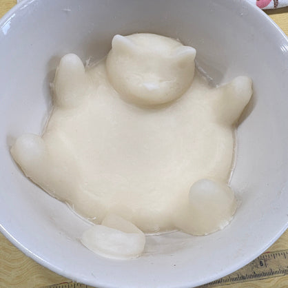 Step 13
