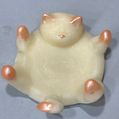Step 17