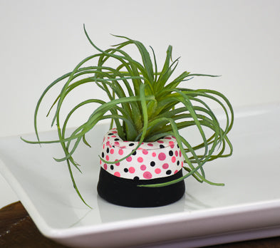 Sculpey III® Mini Succulent Pinch Pots with air plant installed