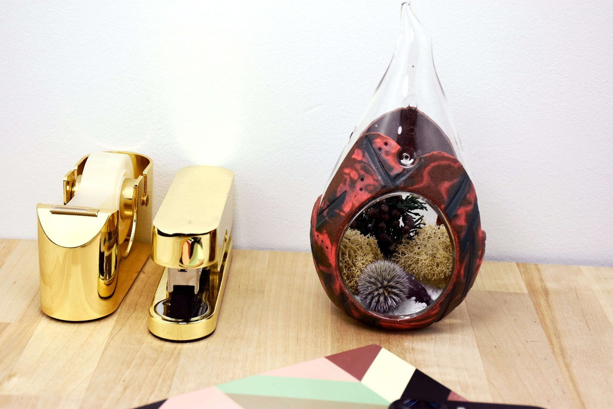 Sculpey Soufflé™ Air Plant Terrarium