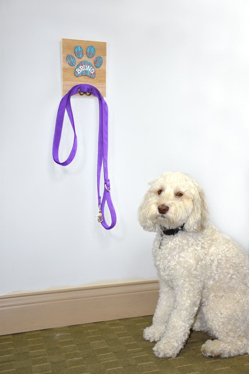 Sculpey III® Embellished Dog Walk Leash Holder