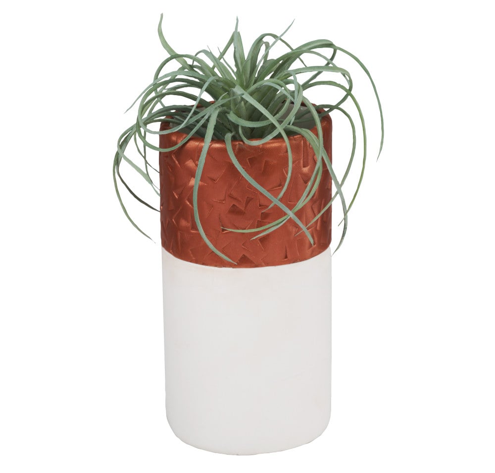 Sculpey Premo™ Multi-pack 24 Pc