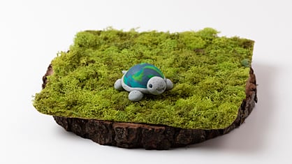 Sculpey III® and Original Sculpey® Turtle Tot